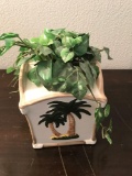 Decorative plant in pot