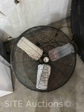 Fan
