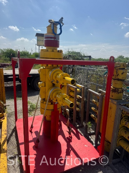 Located in Alice, TX