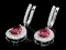 14k Gold 6.63ct Ruby 1.69ct Diamond Earrings