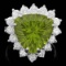 14K White Gold 9.38ct Peridot and 1.60ct Diamond Ring