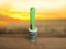 Evercare Ultra Sticky Pet Lint Roller