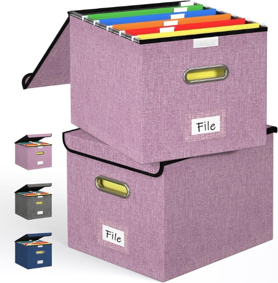FORLOGIC COLLAPSIBLE FILE ORGANIZER BOX W/LID & HANDLES, PLASTIC FILE BOX, 2 PACK, PINK