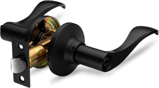 Berlin Modisch Privacy Lever Door Handle, Iron Black Finish, Classic Series