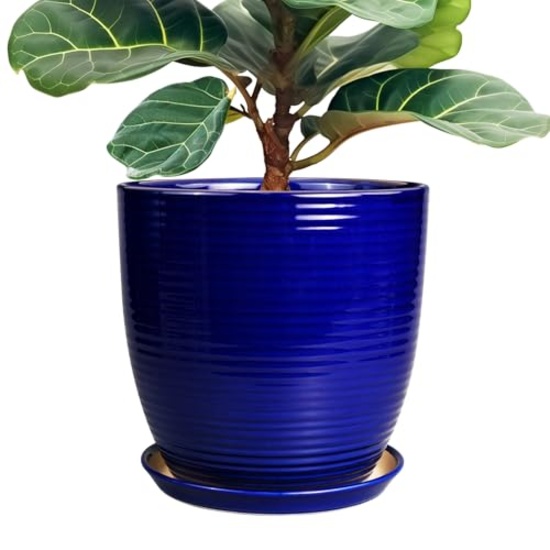 12 Inch Ceramic Planter Pot w/ Drainage & Saucer - Fluted, Round, Blue, for Home & Garden