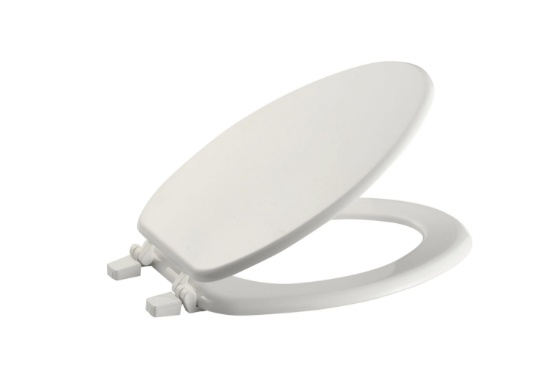 PROJECT SOURCE WOOD WHITE ELONGATED TOILET SEAT