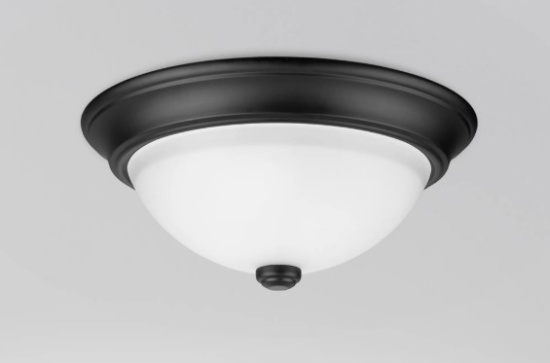 Project Source 2 -Light 13-in Matte Black Flush Mount Light 2 -Pack