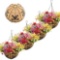 4 PACK 14 INCH METAL HANGING PLANTER BASKETS WITH COCO LINERS & CHAIN (BUTTERFLY DESIGN)