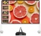 OUTDOOR PROJECTOR SCREEN W/STAND, 100