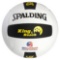 Basketball; Spalding King of the Beach/USA Beach Official Tour Volleyball; Ball. $135.64 ERV