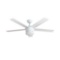 Home Decorators Collection Merwry 52 in. Integrated LED Indoor White Ceiling Fan. $142.60 ERV