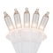 associated with Clear Mini Lights - White Cord. $5.68 ERV