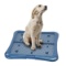 Petphabet Puppy Training Pad Holder Floor Protection Dog Pad Holder Mesh Training Tray. $41 MSRP