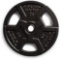 Gold's Gym Standard Plate, 2.5-25 lbs. $22 MSRP