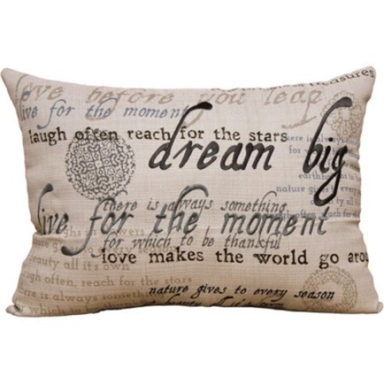 BHG Sentiments Oblong Pillow; Mainstays Fretwork Pillow; Jersey Stretch Slipcover. $66 MSRP