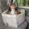 Solvit Jumbo Deluxe Pet Safety Seat. $86 MSRP