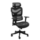 Ergonomic Mesh Office Chair - SIEGES, Black. $298 MSRP