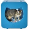 Kitty Kasas Bedroom Cube Cat House. $46 MSRP