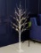 Bolylight LED Birch Tree 4ft 48L LED Christmas Decorations Lighted Tree Decor . $48 MSRP