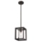 Emliviar Modern Glass Pendant Light, Single Light Metal Wire Cage Hanging Pendant Light. $69 MSRP