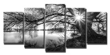 5 Panels Framed Canvas Wall Art, Black and White Tree in Sunrise. $55 MSRP