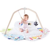 The Play Gym by Lovevery, and more.. $161 MSRP