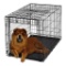 Midwest Ovation Single Door Folding Dog Crate,$59 MSRP