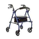 Silver Spring Steel Rollator with 6