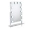 Waneway Lighted Vanity Mirror with Dimmable LED Bulbs,$85 MSRP