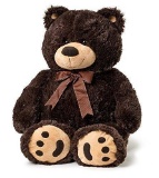 Big Teddy Bear - Dark Brown?,$36 MSRP