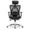 Sihoo Ergonomics Office Chair,$209 MSRP
