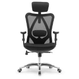 Sihoo Ergonomics Office Chair,$209 MSRP