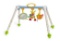 Taf Toys Take-To-Play Baby Gym