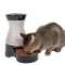 PetSafe Healthy Pet Gravity Dog and Cat Food Station, Stainless Steel Bowl- $16.95 MSRP