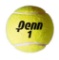 Penn Championship Tennis Balls $14.49 MSRP