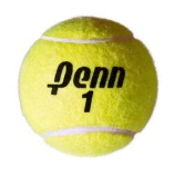 Penn Championship Tennis Balls $14.49 MSRP