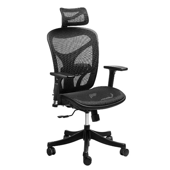 Sieges Ergonomic High Mesh Office Adjustable Headrest $167.39 MSRP