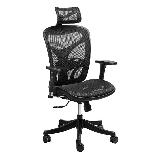 Sieges Ergonomic High Mesh Office Adjustable Headrest - $167.39 MSRP