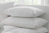 Set of 3 Pcs White Cushion Bed Room Throw Recron Microfiber Pillow $179.99 MSRP