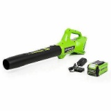 Greenworks 40V Axial Blower 2.0Ah Battery and Charger Included BLF347 $87.99 MSRP