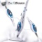 PurSteam World's Best Steamers Pro211 Steam Mop Cleaner ThermaPro 10-in-1 $65.99 MSRP