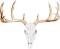 10 Point Buck Deer Skull Bust Wall Hanging $50.60 MSRP