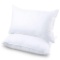 Langria Luxury Hotel Collection Bed Pillows (2 Pack)