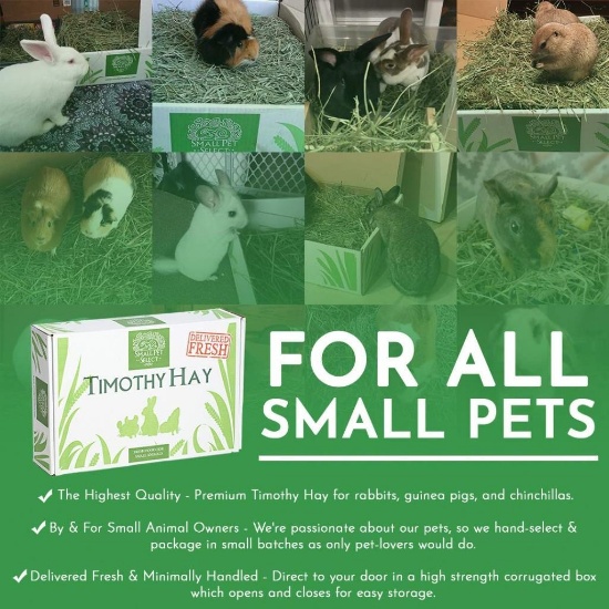 Small Pet Select Timothy Hay Pet Food