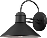 1-Light Outdoor Wall Sconce