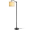 Floor Lamp Zanflare LED Floor Lamp PY-F1038 $65.99 MSRP