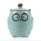 Large Kitchen Ceramic Owl Canister Food Storage Jar for Coffee Sugar Flour Blue