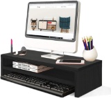 TY arts & culture - Computer Monitor Stand, 2 Tiers Monitor Stand Computer, Black
