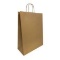 Brown Kraft Paper Carriers