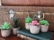 Artificial Succulent Plants-15 sets